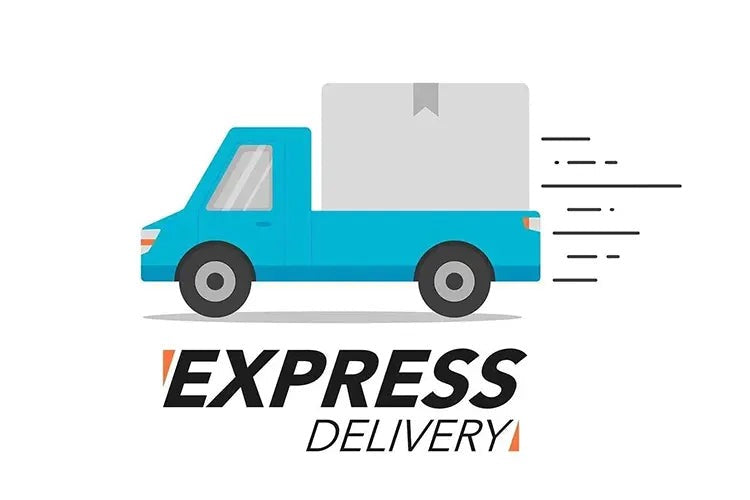 Express Delivery